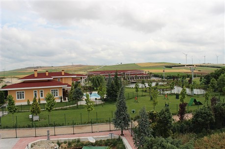 GÖZEN K9 SİLİVRİ - 1