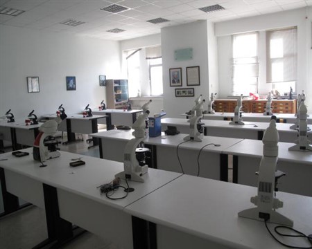 Sandoz ilaç - 2